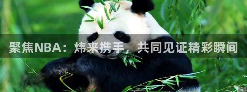 斗球直播ufc：聚焦NBA：炜来携手，共同见证精彩瞬间