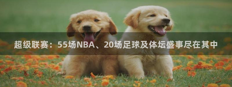 斗球直播怎么下载：超级联赛：55场NBA、20场足球及体坛盛事尽在其中