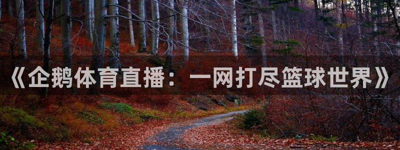 斗球直播软件：《企鹅体育直播：一网打尽篮球世界》
