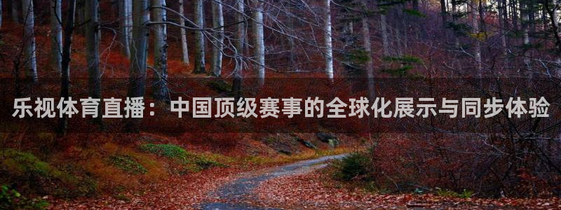 斗球直播官网下载：乐视体育直播：中国顶级赛事的全球化展示与同步体验