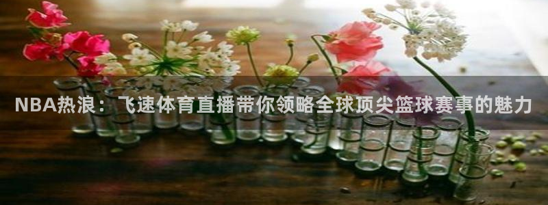 斗球足球直播：NBA热浪：飞速体育直播带你领略全球顶尖篮球赛事的魅力
