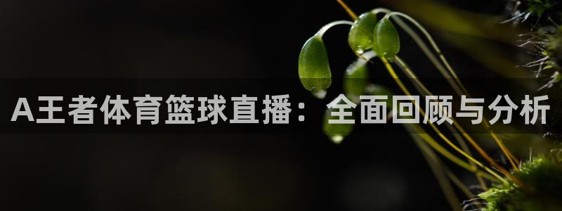 斗球直播nba：A王者体育篮球直播：全面回顾与分析