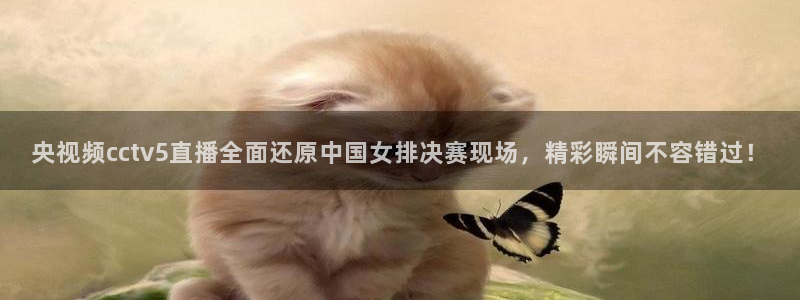 斗球直播体育下载：央视频cctv5直播全面还原中国女排决赛现场，精彩瞬间不容错过！