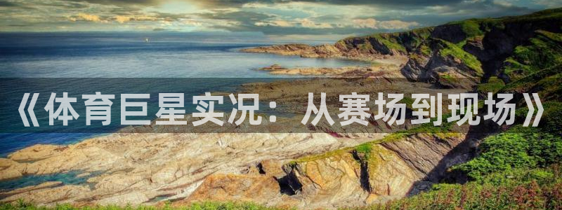斗球app免费观看：《体育巨星实况：从赛场到现场》