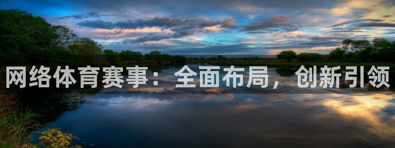斗球直播网页版入口：网络体育赛事：全面布局，创新引领